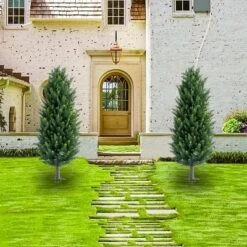 43.3 Inch Artificial Topiary Ball Tree With Spike,Artificial Cedar Tree For Home Decor, Indoor And Outdoor, Set Of 2 -Homfan GUEST 4544a810 0fa0 43ee b0f4 993fd51e46fc