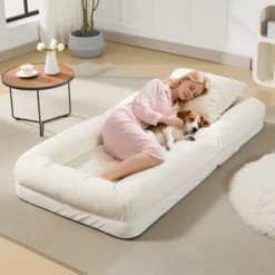 Adjustable Sofa Bed - 5-Position Recliner Chair W/ 2 Pillows For Adults & Pets - Comfy Living Room & Bedroom Lounger -Homfan GUEST 6bc033d0 0d3b 4978 8905 aba12f6fb501