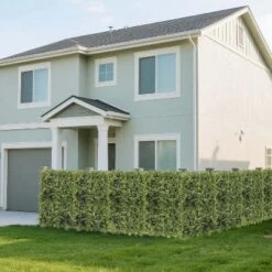 20x20" Artificial Grass Panel - Tropical Fern Privacy Screen W/Zip Ties, Faux Greenery Backdrop For Indoor/Outdoor, Wedding, Garden Decor -Homfan GUEST 91c762b7 abb9 4f9d 8fa3 00bdcffe5262