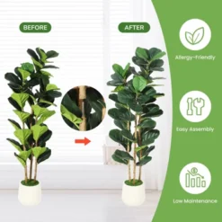 Artificial Fiddle Leaf Fig Tree With White Pot, Indoor/Outdoor Greenery For Home, Office, Store Room, Majlis Decor -Homfan GUEST 9d329bb7 fe2b 4b2c 8e5b 44129935b423