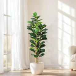 Artificial Fiddle Leaf Fig Tree With White Pot, Indoor/Outdoor Greenery For Home, Office, Store Room, Majlis Decor -Homfan GUEST eb50e98c dc41 4c7a bd6c 76fdcab115f6